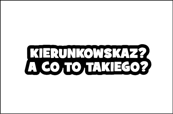 naklejki na samochód na auto napis kierunkowskaz? a co to takiego?