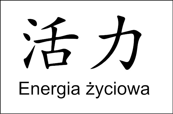 naklejki na samochód na auto znak chiński