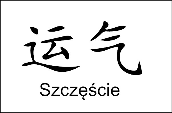 naklejki na samochód na auto znak chiński