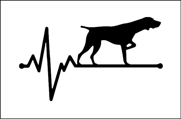 naklejka samochodowa pies wyżeł ekg